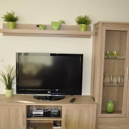 Apartment Olympic Park 209 *