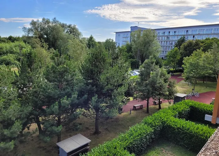 Apartment Olympic Park *