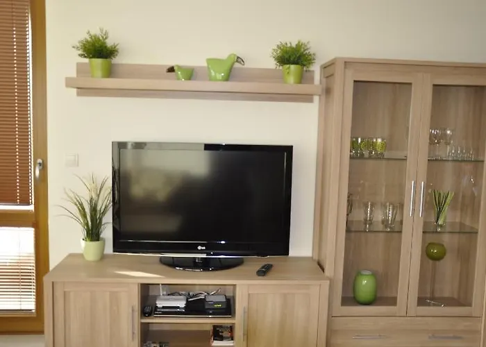 Apartment Olympic Park *